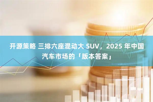开源策略 三排六座混动大 SUV，2025 年中国汽车市场的「版本答案」
