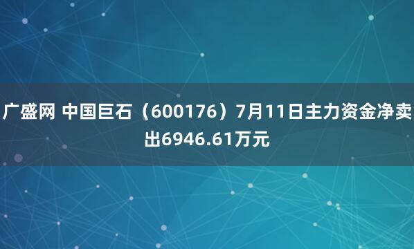 广盛网 中国巨石（600176）7月11日主力资金净卖出6946.61万元