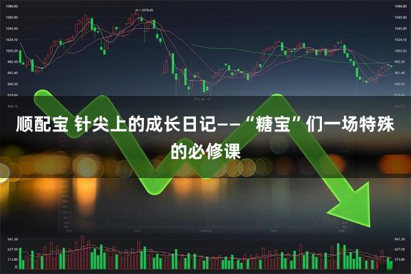 顺配宝 针尖上的成长日记——“糖宝”们一场特殊的必修课