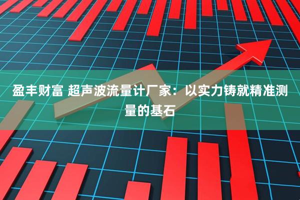 盈丰财富 超声波流量计厂家：以实力铸就精准测量的基石