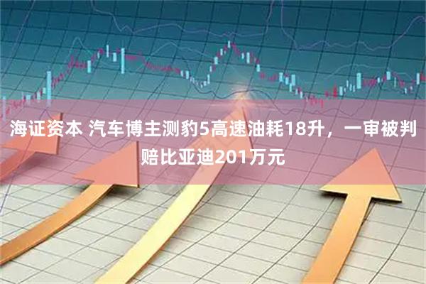 海证资本 汽车博主测豹5高速油耗18升，一审被判赔比亚迪201万元