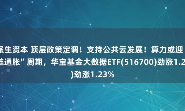 派生资本 顶层政策定调！支持公共云发展！算力或迎“全链通胀”周期，华宝基金大数据ETF(516700)劲涨1.23%