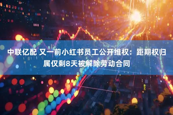 中联亿配 又一前小红书员工公开维权：距期权归属仅剩8天被解除劳动合同